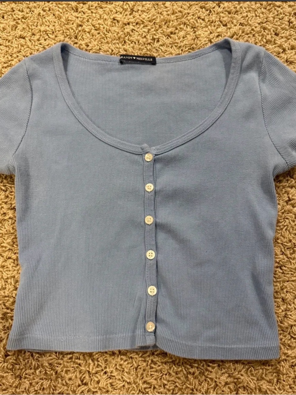 Brandy Melville Light Blue Ribbed Button-Front Crop Top